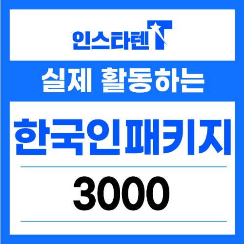 실제 활동하는 한국인 패키지 3000