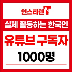 실제 활동하는 한국인 유튜브 구독자 1,000명