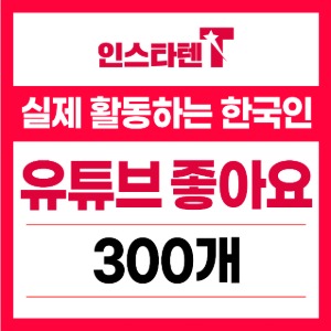 실제 활동하는 한국인 유튜브 좋아요 300개