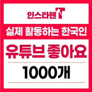 실제 활동하는 한국인 유튜브 좋아요 1,000개