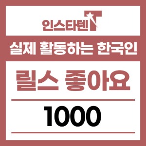 실제 활동하는 한국인 릴스 좋아요 1,000개