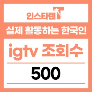 실제 활동하는 한국인 igtv 조회수 500개