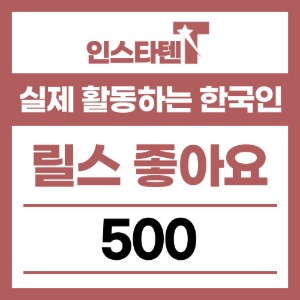 실제 활동하는 한국인 릴스 좋아요 500개