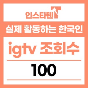 실제 활동하는 한국인 igtv 조회수 100개