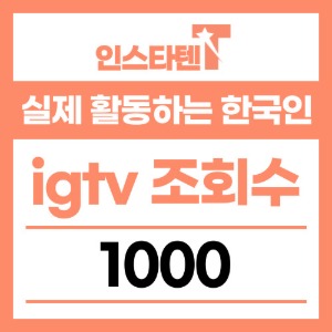 실제 활동하는 한국인 igtv 조회수 1,000개