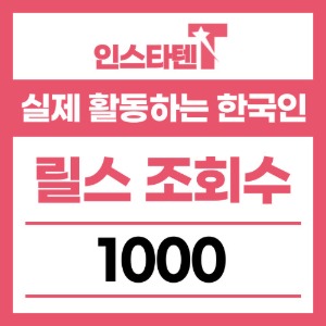 실제 활동하는 한국인 릴스 조회수 1,000개