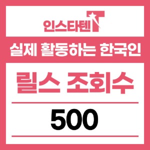실제 활동하는 한국인 릴스 조회수 500개