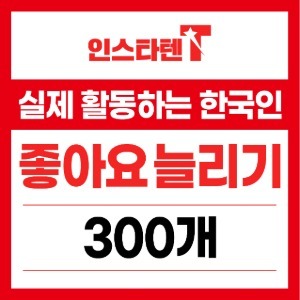 실제 활동하는 한국인 좋아요 300개