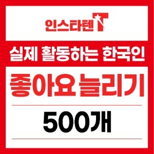 실제 활동하는 한국인 좋아요 500개